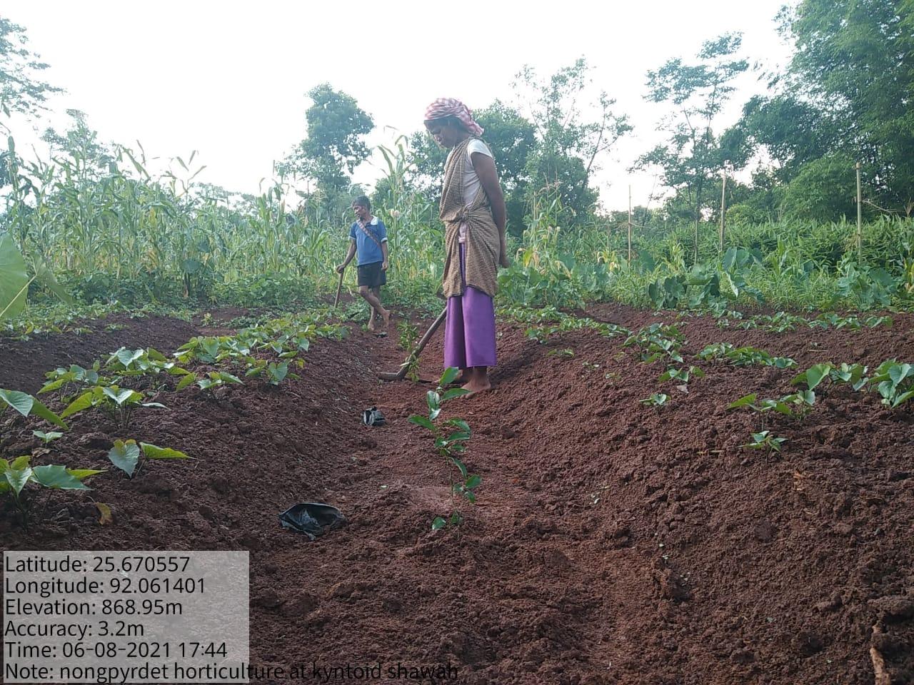 C:\Users\Lavinia Pde\Desktop\nongpyrdet\Nongpyrdet\WhatsApp Image 2023-02-02 at 14.52.33 (2).jpeg